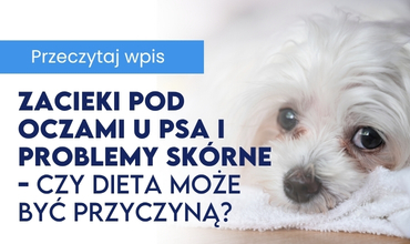 Naturalny duet dla zdrowia i odporności - Blog Baltica